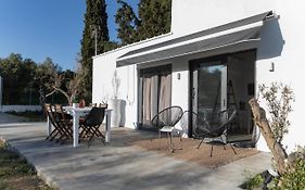 Olive View Loft